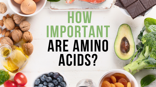 How Important are Amino Acids?