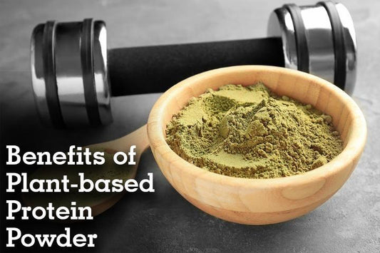 Core Benefits of Plant-Based Protein Powder-NutraCore Supplements