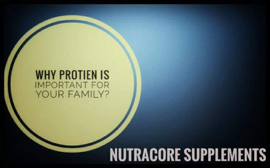 Why Protein is Important For Your Family?